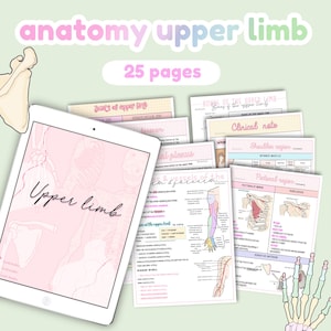Anatomie obere Extremität, Anatomienotizen, obere Extremität, Studienführer, Studiennotiz | Anatomie und Physiologie Notizen Bundle