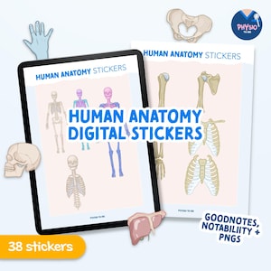 Human Anatomy Digital Stickers | Study, Planning (GoodNotes, PNG Download)