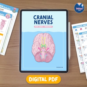 Könnte beinhalten: Ein digitales PDF-Leitfaden und Arbeitsblatt zu den Hirnnerven. Das Tablet zeigt eine detaillierte Abbildung eines Gehirns mit dem Titel "CRANIAL NERVES" darüber. Zusätzliche Arbeitsblätter und ein Stift sind sichtbar.