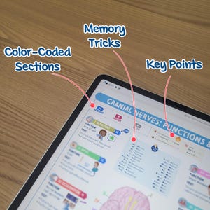 May include: A tablet displaying a medical diagram about cranial nerves, with the text "CRANIAL NERVES: FUNCTIONS &" and labeled sections for "Color-Coded Sections," "Memory Tricks," and "Key Points." The screen shows detailed anatomical information.