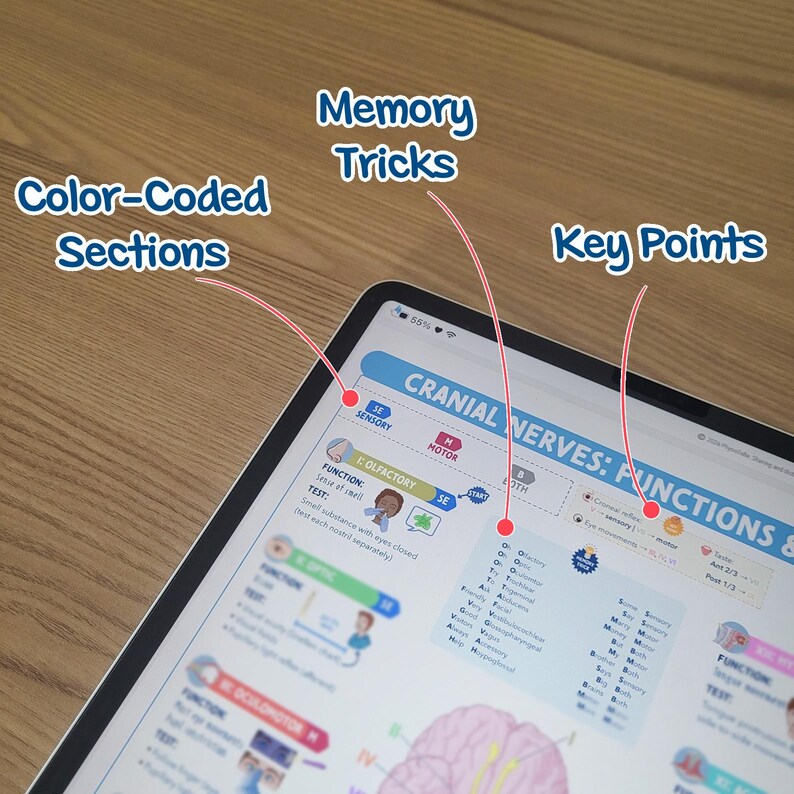 May include: A tablet displaying a medical diagram about cranial nerves, with the text "CRANIAL NERVES: FUNCTIONS &" and labeled sections for "Color-Coded Sections," "Memory Tricks," and "Key Points." The screen shows detailed anatomical information.