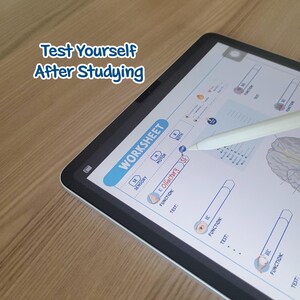 May include: A digital tablet displaying a worksheet with the text "Test Yourself After Studying". A white stylus is touching the screen, highlighting "Olfactory SE". The worksheet is for a sensory test.