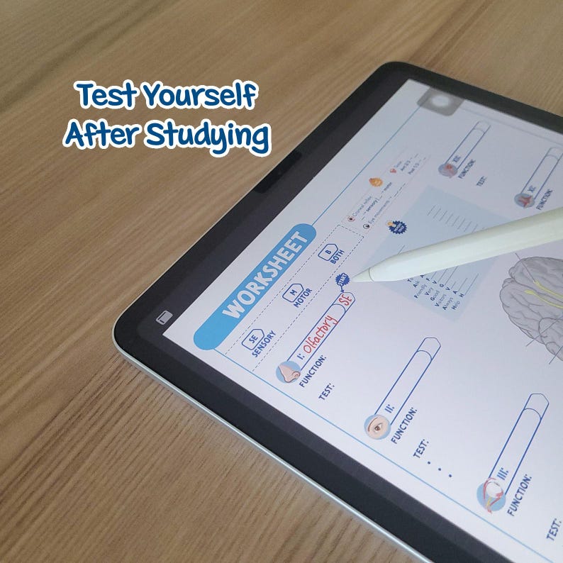 May include: A digital tablet displaying a worksheet with the text "Test Yourself After Studying". A white stylus is touching the screen, highlighting "Olfactory SE". The worksheet is for a sensory test.