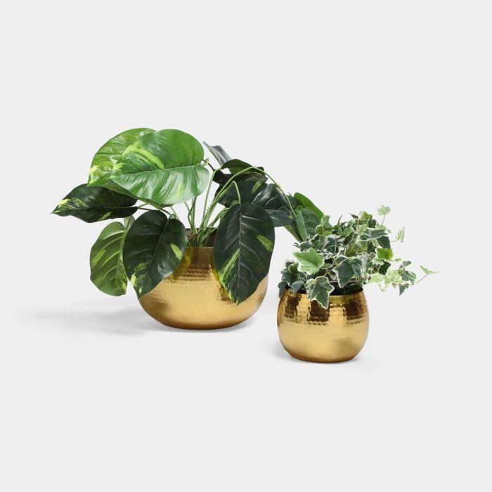 Handmade Hammered Brass Planters, Gold Etched Plant Pots
