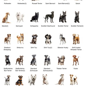 May include: A chart of 25 different dog breeds, each with a photo of a dog and the breed name. The dogs are all in a standing position and are facing the camera. The chart is organized in a grid format with five rows and five columns.