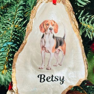 May include: A white oyster shell Christmas ornament with gold trim, featuring a printed image of a beagle dog and the name "Betsy".
