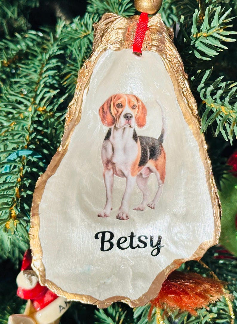 May include: A white oyster shell Christmas ornament with gold trim, featuring a printed image of a beagle dog and the name "Betsy".