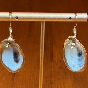 May include: A pair of handcrafted earrings featuring iridescent blue and white shells with gold-colored edges and accents. The earrings hang from gold-colored hooks, showcasing a natural, organic design. The earrings are displayed on a gold-colored stand.