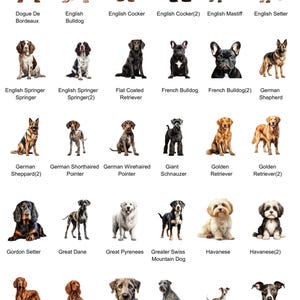 May include: A chart of 20 different dog breeds, each with a photo of a dog. The breeds are listed in alphabetical order, with the name of the breed below each photo.