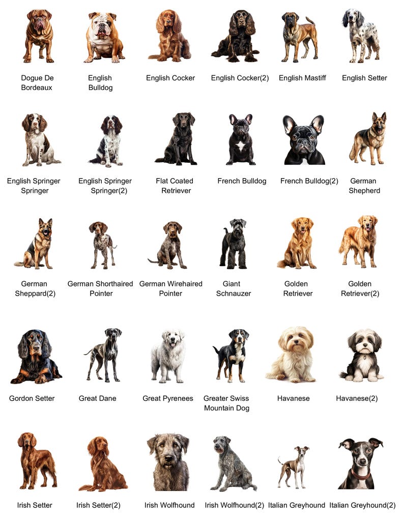May include: A chart of 20 different dog breeds, each with a photo of a dog. The breeds are listed in alphabetical order, with the name of the breed below each photo.