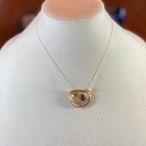 Oyster Necklace and Freshwater Pearls, 14kt gold-filled chain, double drilled * Oyster Jewelry