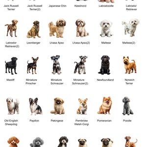 May include: A chart of 24 different dog breeds, each with a watercolor illustration of the dog. The breeds are listed below each image, with some breeds having a (2) or (3) after the name.