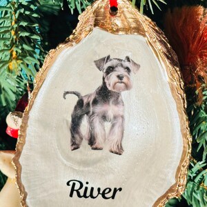 May include: A white oyster shell Christmas ornament with a gold rim. A black and grey miniature schnauzer dog is pictured on the ornament with the name "River" written below the dog.