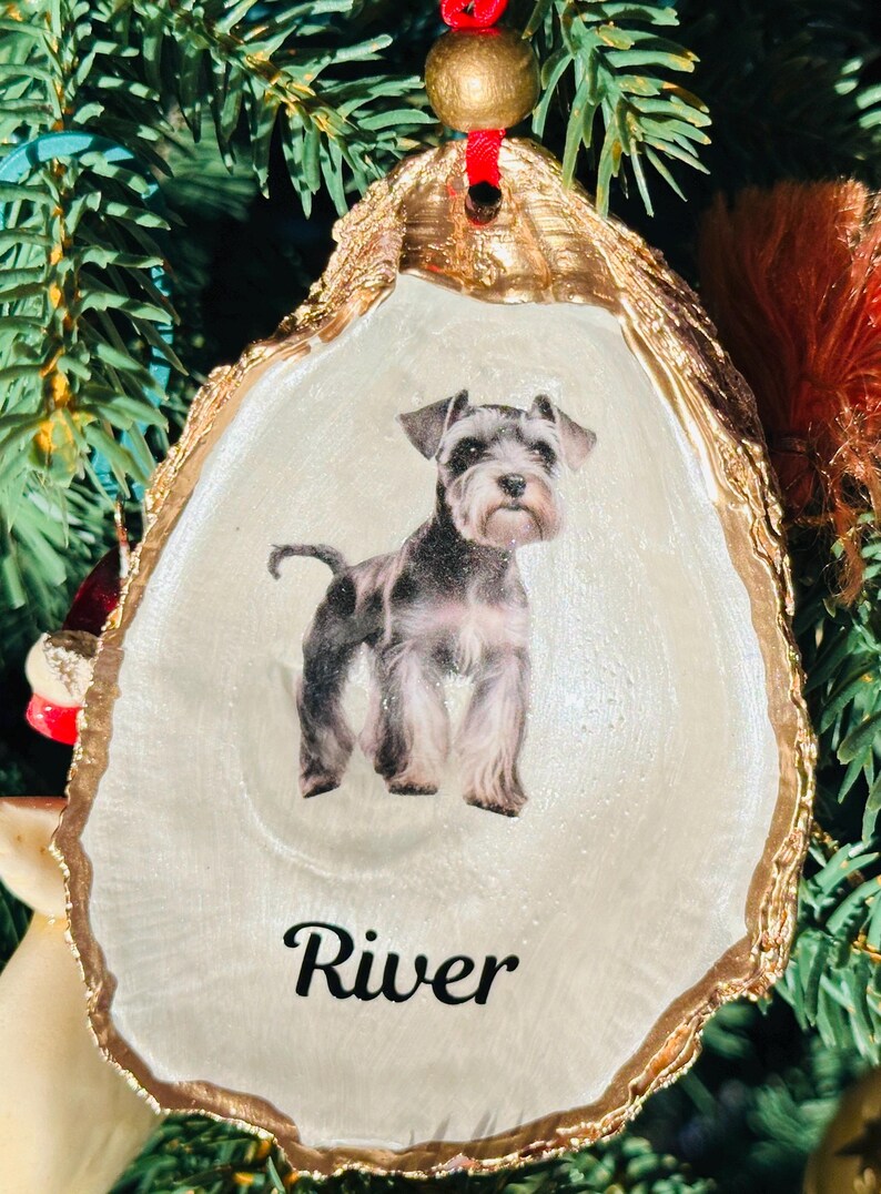 May include: A white oyster shell Christmas ornament with a gold rim. A black and grey miniature schnauzer dog is pictured on the ornament with the name "River" written below the dog.
