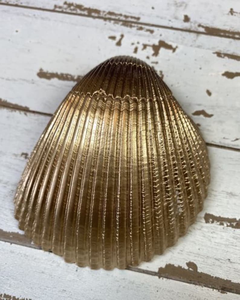 unique gift from Ocracoke Island. Decoupage Giant Cockle Shell Jewelry dish