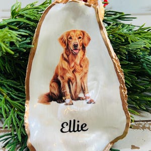 May include: A white oyster shell Christmas ornament with a gold rim. The ornament features a printed image of a golden retriever dog and the name "Ellie".