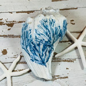Whelk Shell Decoupaged with Blue Coral
