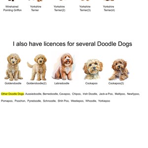 May include: A digital illustration of various dog breeds, including Wirehaired Pointing Griffon, Yorkshire Terrier, Goldendoodle, Labradoodle, and Cockapoo. The image includes the text "I also have licences for several Doodle Dogs" and a list of other doodle dog breeds.
