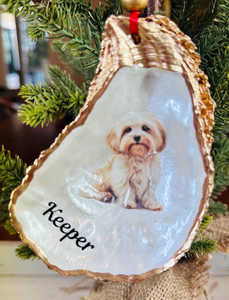 May include: A white oyster shell Christmas ornament with a gold rim. The ornament features a painted image of a small, white dog with the name "Keeper" written below the dog.