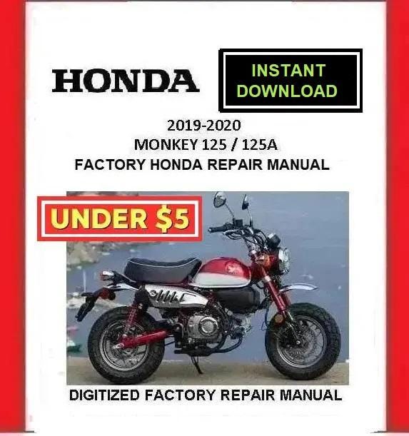 Nueva Honda Monkey 125 Baja: la minimoto de aventura