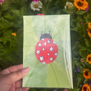Ladybug Print