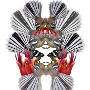 Fantails INSTANT DOWNLOAD