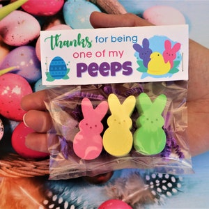 Mini Bunny Peeps Sidewalk Chalk Easter Basket Stuffers - Easter Egg Hunt, Easter Party Favor, Easter Gift for Kids, Gift from Easter Bunny