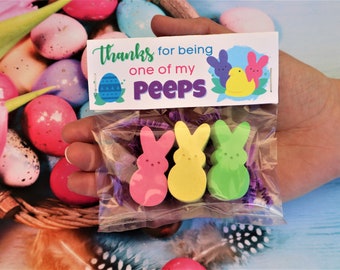 Mini Bunny Peeps Sidewalk Chalk Easter Basket Stuffers - Easter Egg Hunt, Easter Party Favor, Easter Gift for Kids, Gift from Easter Bunny