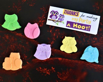 OWL Wizard Party Favor Sidewalk Chalk - Owl Theme Party a Hoot, Magical Wizard Birthday, Wild One, Forest Woodland Party, First Birthday
