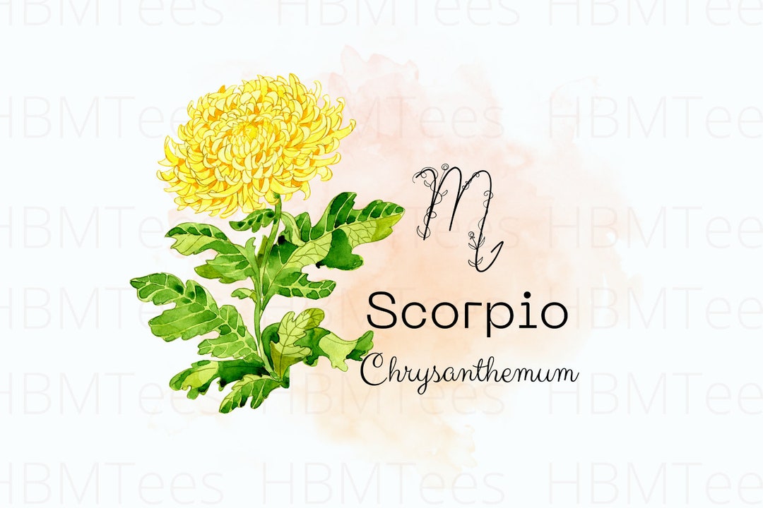 Scorpio flower Chrysanthemum Zodiac Sign Watercolour Etsy