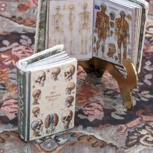 Könnte beinhalten: Zwei Miniaturbücher auf einem gemusterten Teppich. Das Buch links ist geöffnet und zeigt Illustrationen der menschlichen Anatomie. Das Buch rechts ist geschlossen und hat einen goldenen Metallständer.
