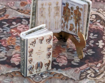 1:24 Scale Medical Anatomy Book