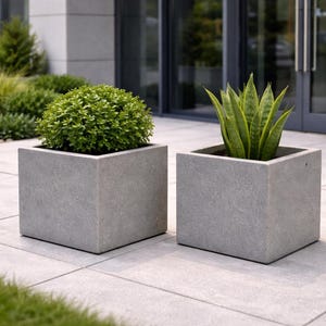 May include: Two square, gray concrete planters, each holding greenery. One contains a round, leafy plant, the other a tall, green and yellow plant. The planters sit on a light gray tiled surface, with a building and greenery in the background.