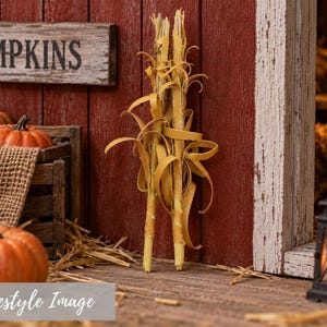 May include: Two decorative dried corn stalks with light yellow husks standing upright against a red wooden wall. To the left, a wooden crate holds orange pumpkins, and a sign reads PUMPKINS. A small black lantern sits on the right side.
