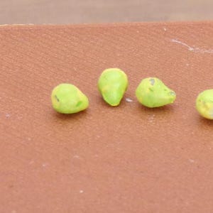 1:24 Scale Pears