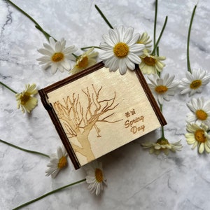 BTS Spring Day Music Box