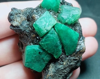 May include: A raw mineral specimen featuring multiple vibrant green, hexagonal emerald crystals embedded within a dark, textured, charcoal-colored rocky matrix. The crystals exhibit varying geometric shapes and translucent surfaces.