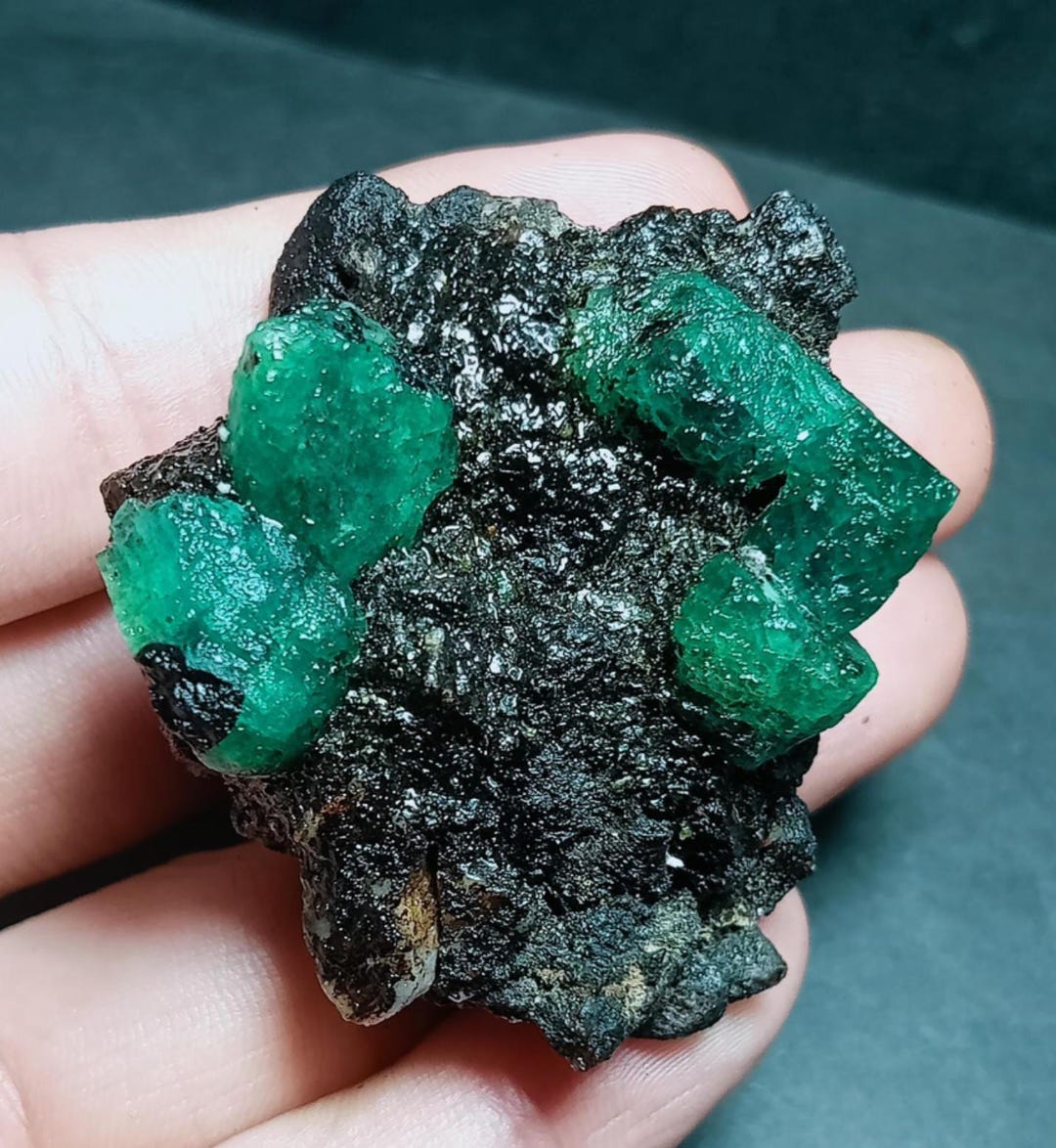 Émeraude verte colombienne naturelle 16,95 ct MUZO 14 x 14 mm certifiée