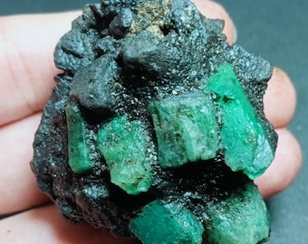 Könnte beinhalten: Ein rohes Mineralexemplar mit mehreren leuchtend grünen Smaragdkristallen, die in eine dunkle, texturierte, anthrazitfarbene Matrix eingebettet sind. Die Smaragde weisen eine hexagonale prismatische Struktur mit unterschiedlichem Grad an Transparenz auf.