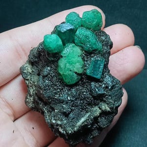 May include: A cluster of vibrant green emerald crystals is set against a dark, textured matrix. The emeralds vary in size and shape, showcasing their natural, raw beauty. The dark background enhances the brilliance of the gemstones.