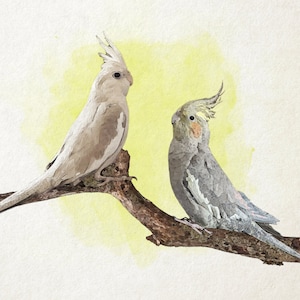 Aangepaste aquarel vogelportret