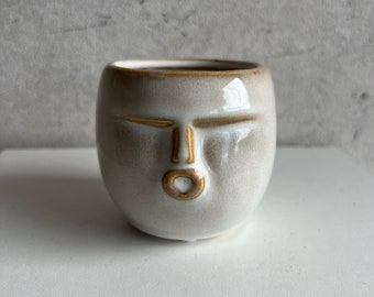 Face Pot / funny pot / white pot /succulent pot