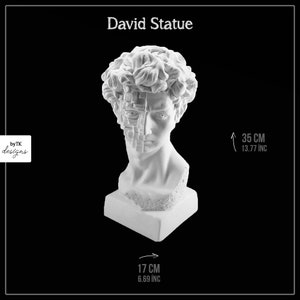 Statue David, Bust, David Head, David Statue, Statue Michelangelo, David Head Portraits, Age of the Renaissance, Home Decoration,
