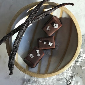 Chocolate Enrobed Honey Caramel - Vanilla Maldon, Gourmet candy, Organic snacks, Gift for Sweet Tooth