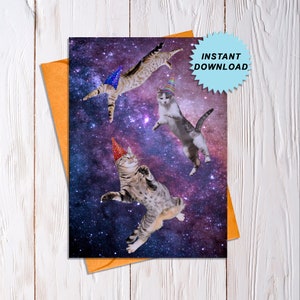 Cats in Space Birthday Card, Funny Cat Birthday Card, BDay Card for Crazy Cat Lady, Happy Birthday Card with Cats, Cat Owner Card