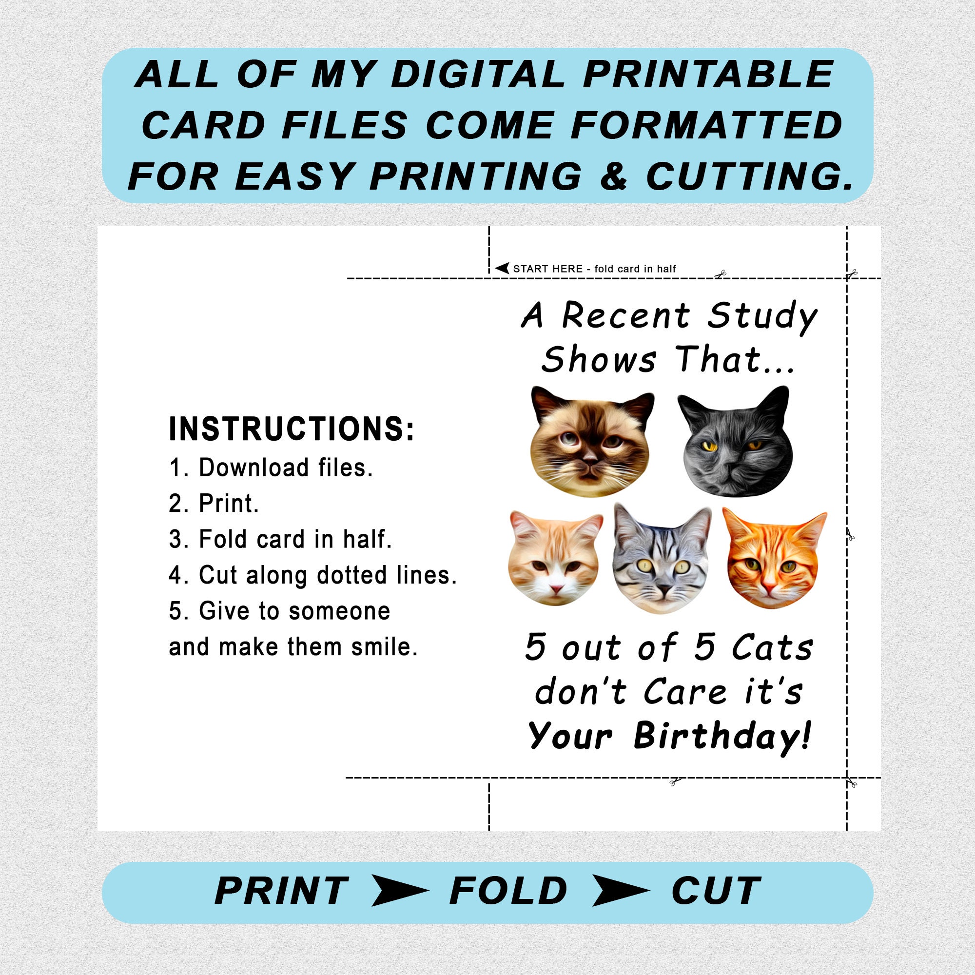 Printable Cat Birthday Card, Funny Greeting Cards, PDF Birthday Card ...
