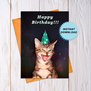 Galaxy Cat Birthday Card, Funny Cat Birthday Card, BDay Card for Crazy Cat Lady, Happy Birthday Card with Cats, Cat Owner Card