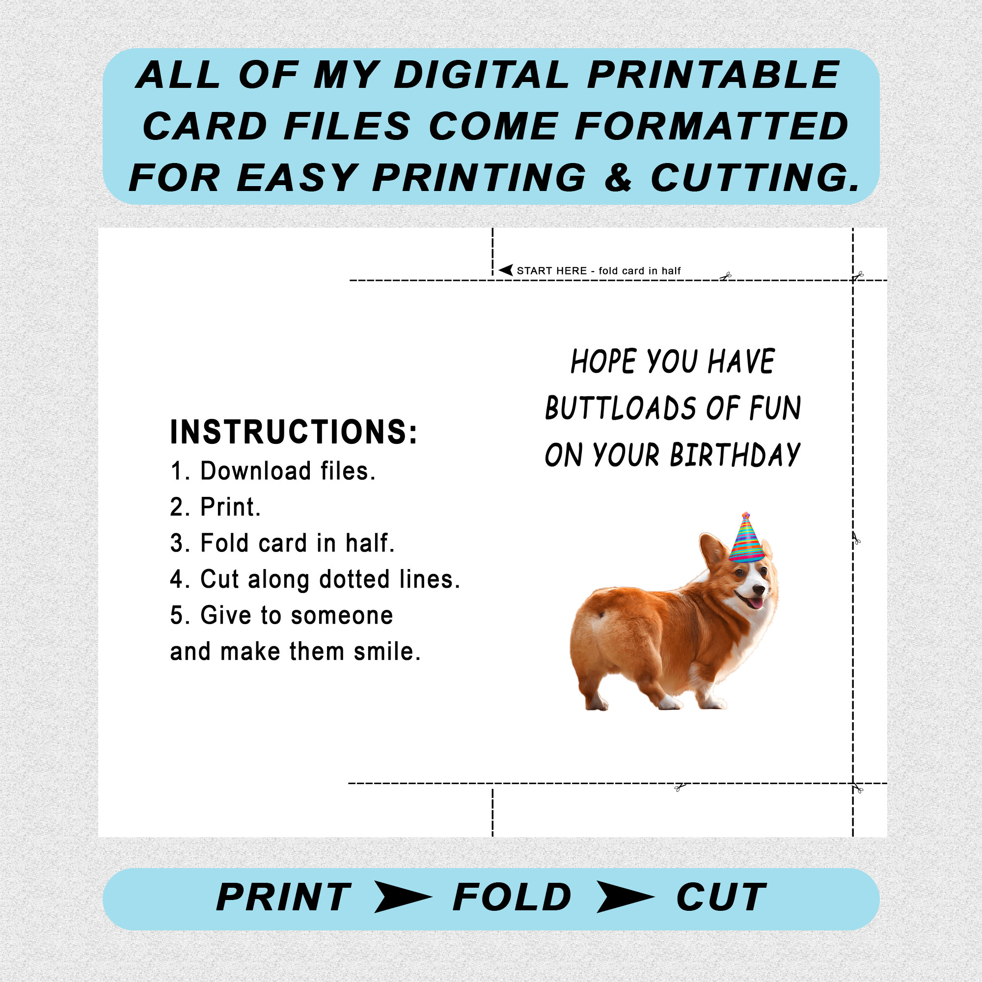 Printable Birthday Card, Hope You Have Buttloads of Fun on Your Birthday, Birthday Greeting Card