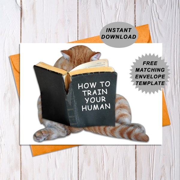 Printable Cat birthday card, Cat owner card, Funny birthday card, Cat lover card, Cat owner card, Cute cat card, Humorous cat card
