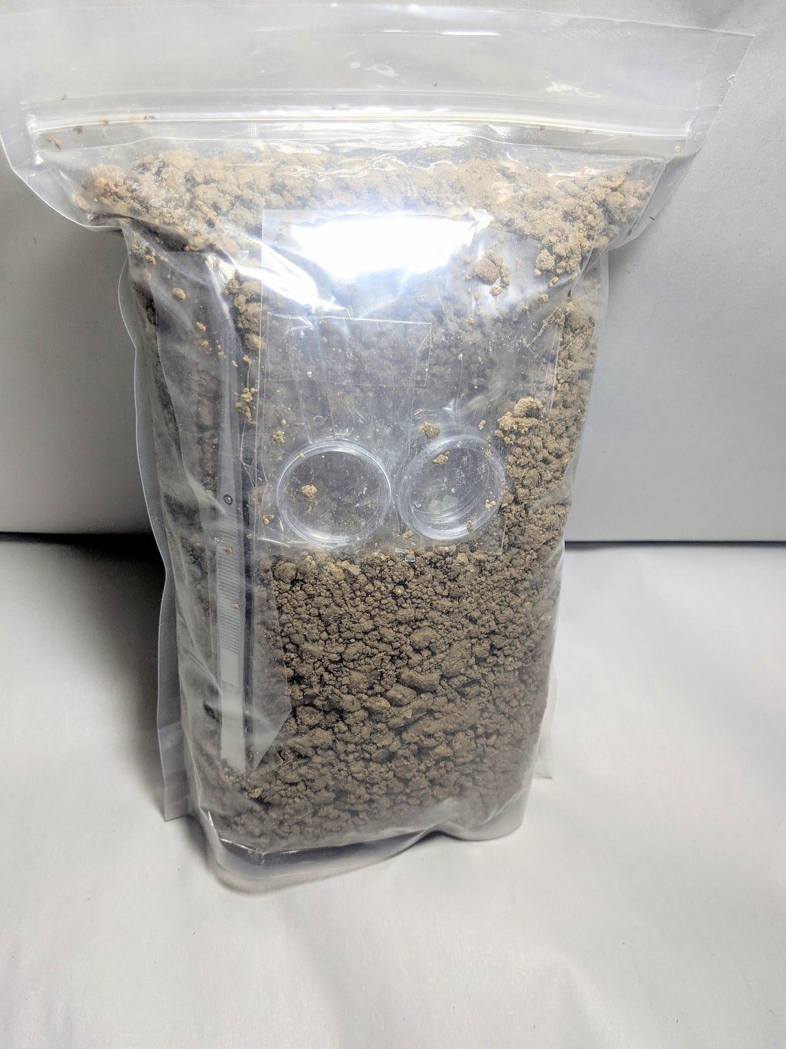 20 lbs of Montana Sapphire Gravel Family fun Etsy